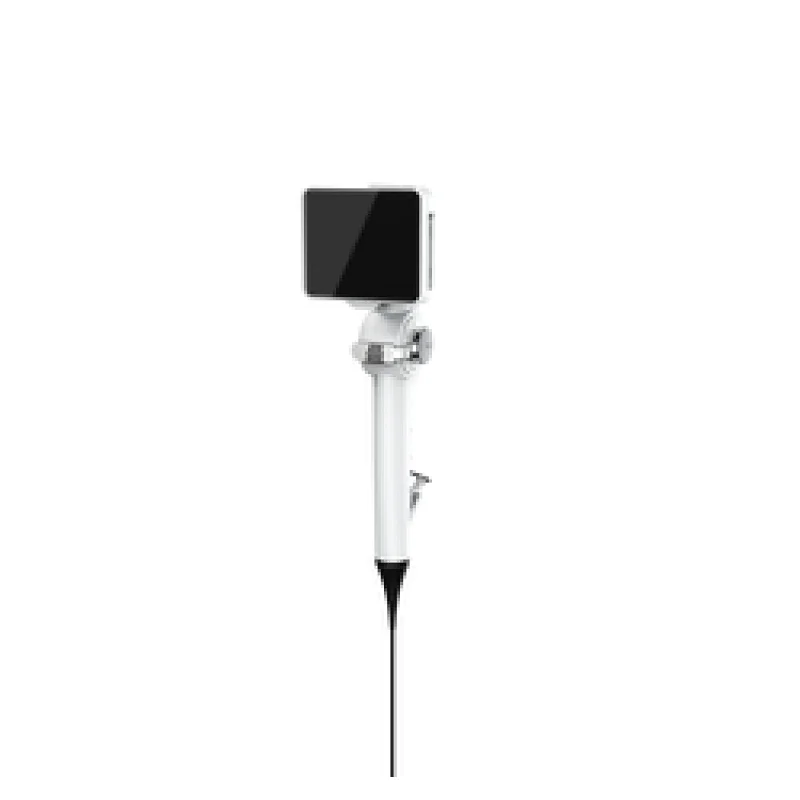 veterinary endoscopy