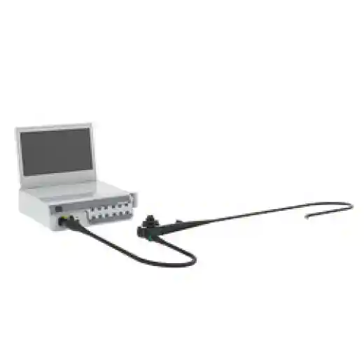 Veterinary Gastroscopy