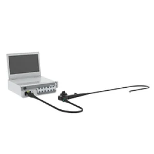 Veterinary Gastroscopy
