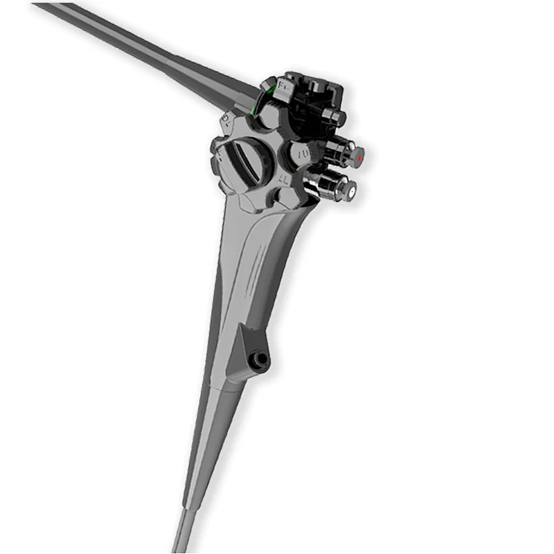 gastroscopy