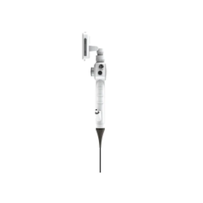 veterinary endoscopy
