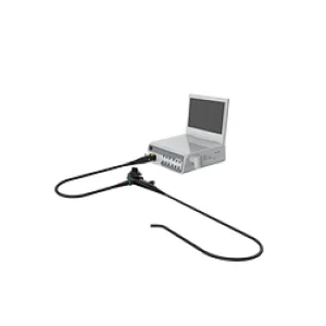 Veterinary Gastroscopy