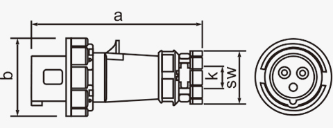 IEC CE 220v 63A electrical industrial socket ip67 3p plug