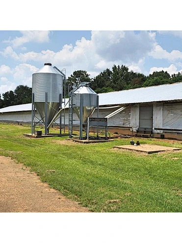 Hangar de poulet préfabriqué de structure métallique d'Assemblée facile pour la ferme avicole