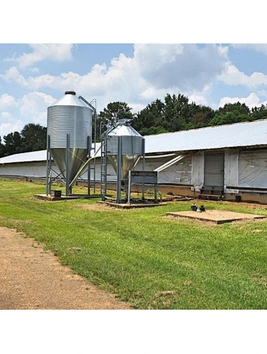 poultry farm shed
