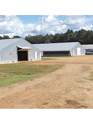 Hangar de poulet préfabriqué de structure métallique d'Assemblée facile pour la ferme avicole
