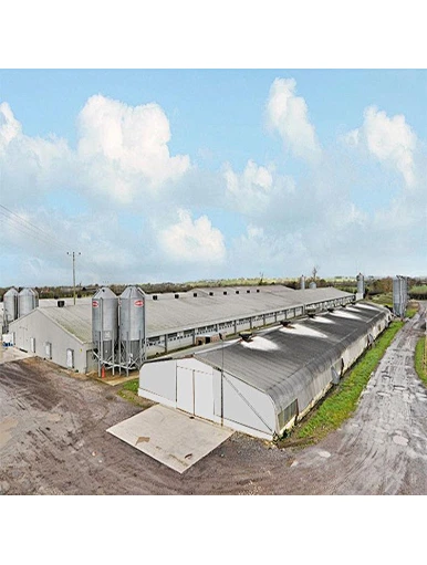 Hangar de poulet préfabriqué de structure métallique d'Assemblée facile pour la ferme avicole