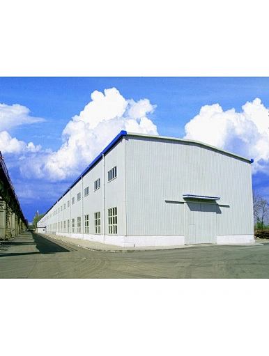 Over 50 years life service time Q355 235 fabric steel structure quick installing house