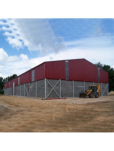 steel structure granary