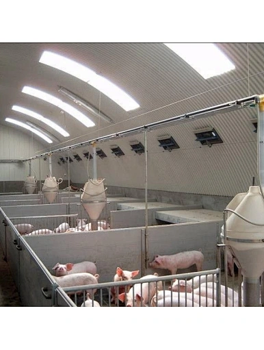 Steel Structure Poultry Farm