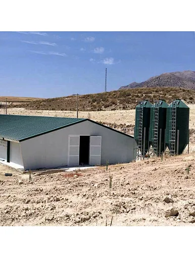 Prefab steel structure poultry house