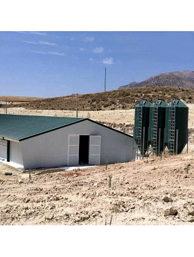 Prefab steel structure poultry house