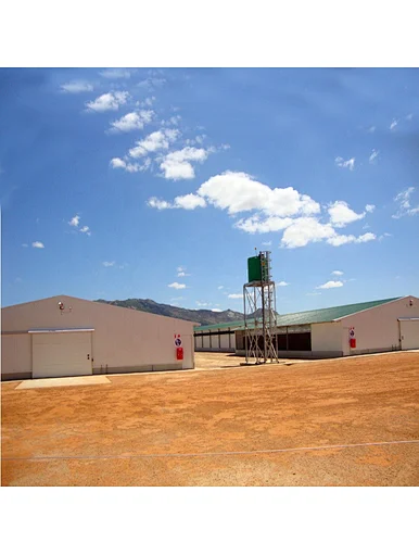 Prefab steel structure poultry house
