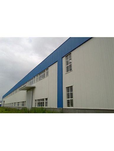 Qingdao peb steel structure warehouse hangar  metal building maintenance workshop