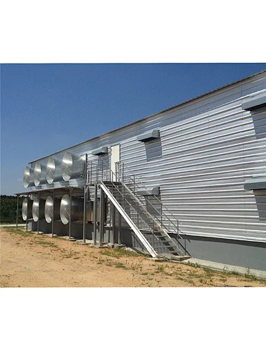steel structure poultry house