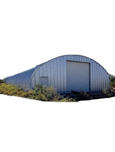 Steel structure aircraft hangar