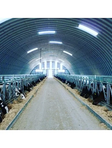 Steel Structure Poultry Farm