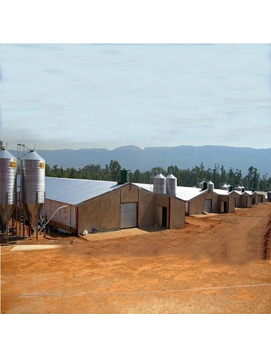 Prefab steel structure poultry house