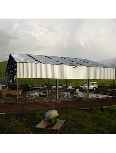 Steel Structure Building Design Cow Farm