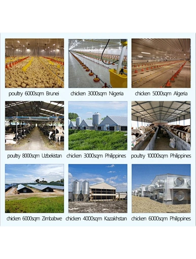 steel structure poultry house