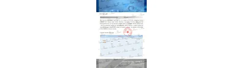 Certificates of Antigen Test Kit: STATEMENT FOR VOCs