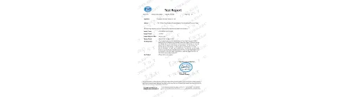 MASK CERTIFICATES: Yanyang REACH FFP2 Test Report
