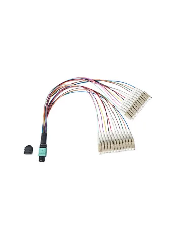 MTP/MPO LC 24C Fiber Patch Cord