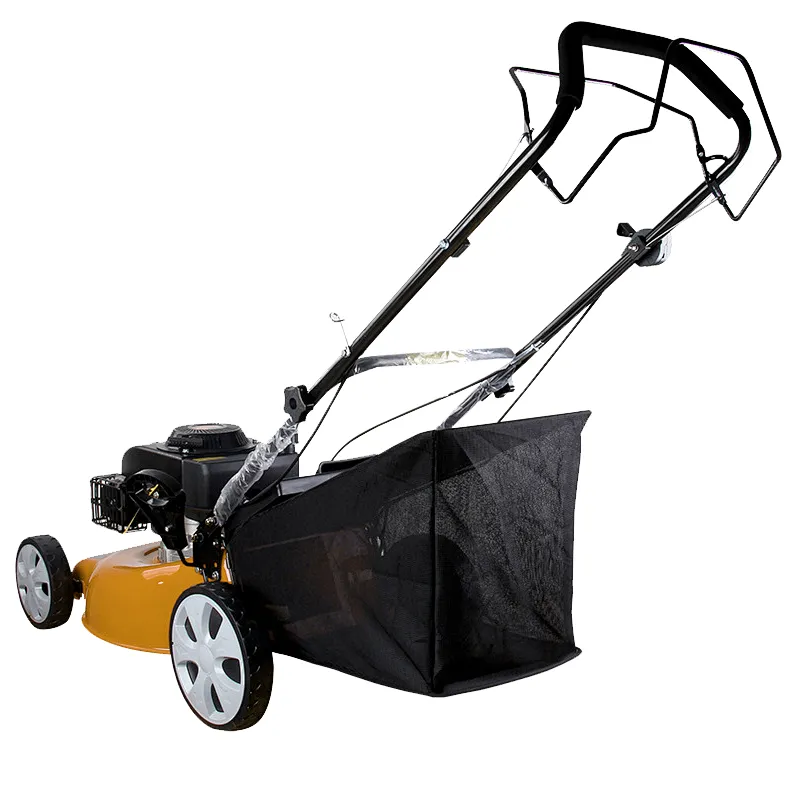 gasoline lawn mower
