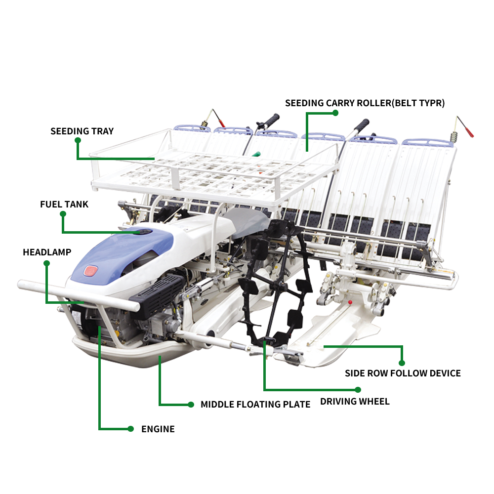 walking rice transplanter