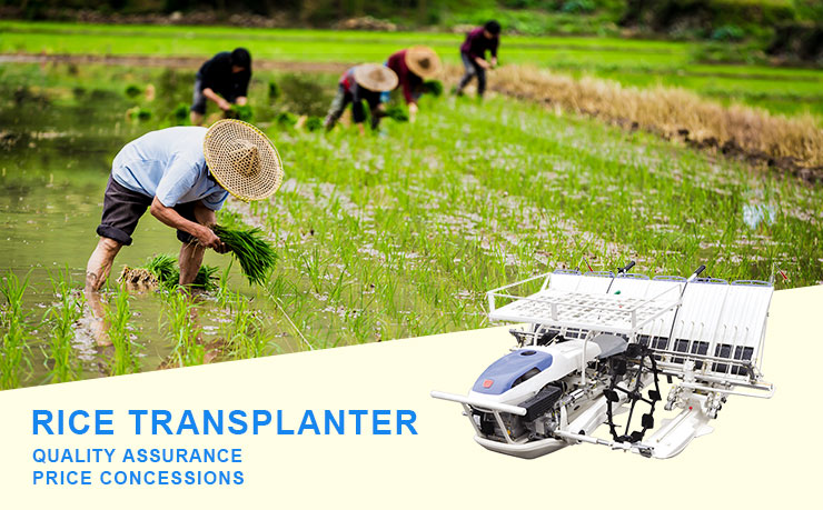 walk behind rice transplanter