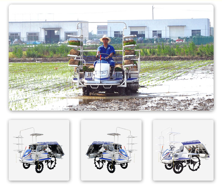 Rice Transplanter