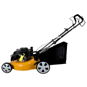 gasoline lawn mower