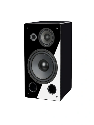 Active Monitor Speaker