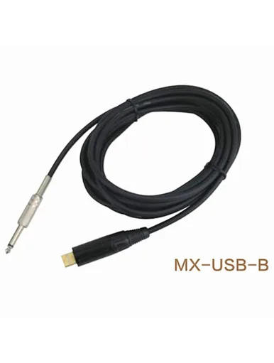 guitar cable usb