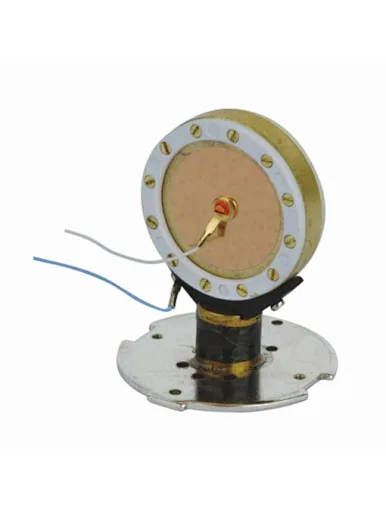 large diaphragm microphones
