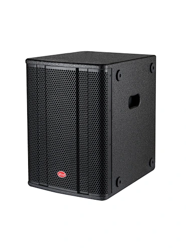 12-inch Active Bass Speaker