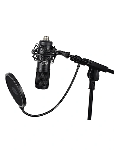 recording studio condenser mic microphone