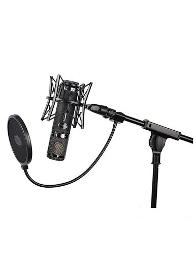 recording tube microphone
