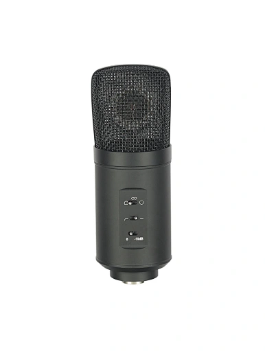 condenser recording microphone