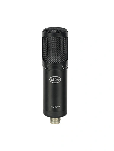 recording studio condenser mic microphone