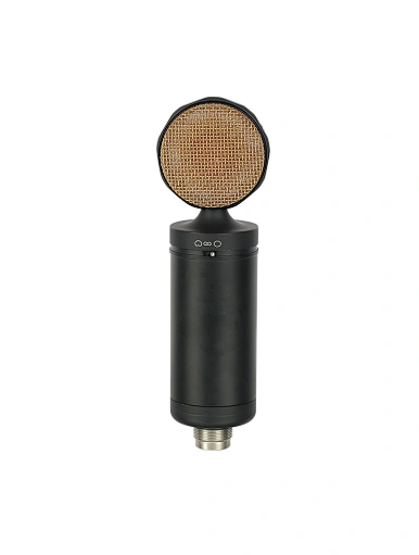 recording microphone