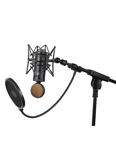 Studio Condenser Microphone