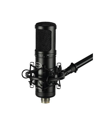 recording studio condenser mic microphone
