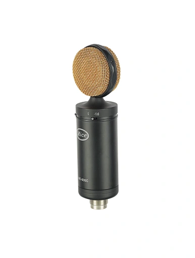 recording microphone