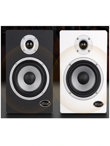 Active Monitor Speaker