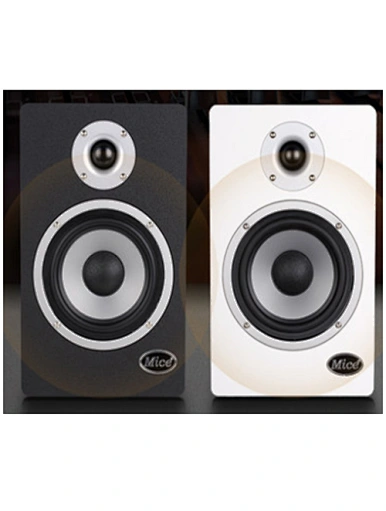 active speaker speaker