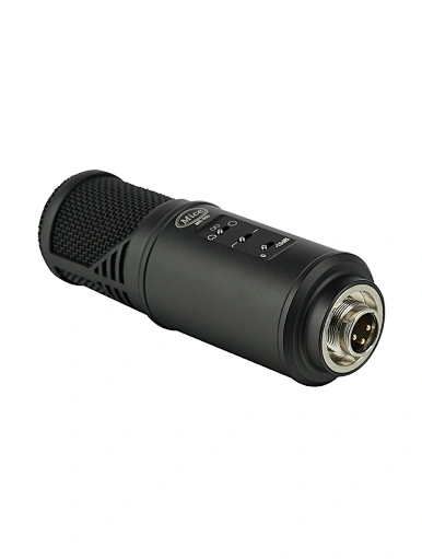 microphone condenser microphone