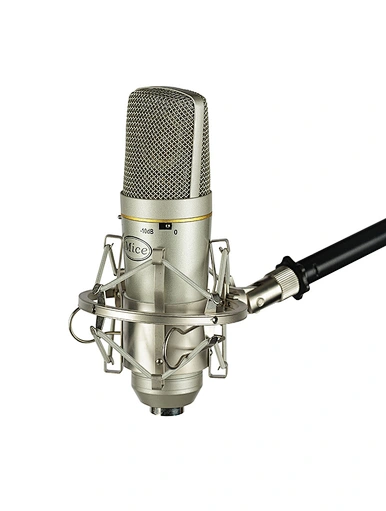 diaphragm studio condenser microphone