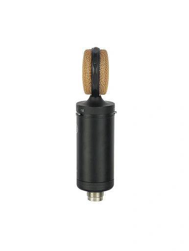 recording microphone