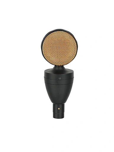 large diaphragm studio condenser microphone